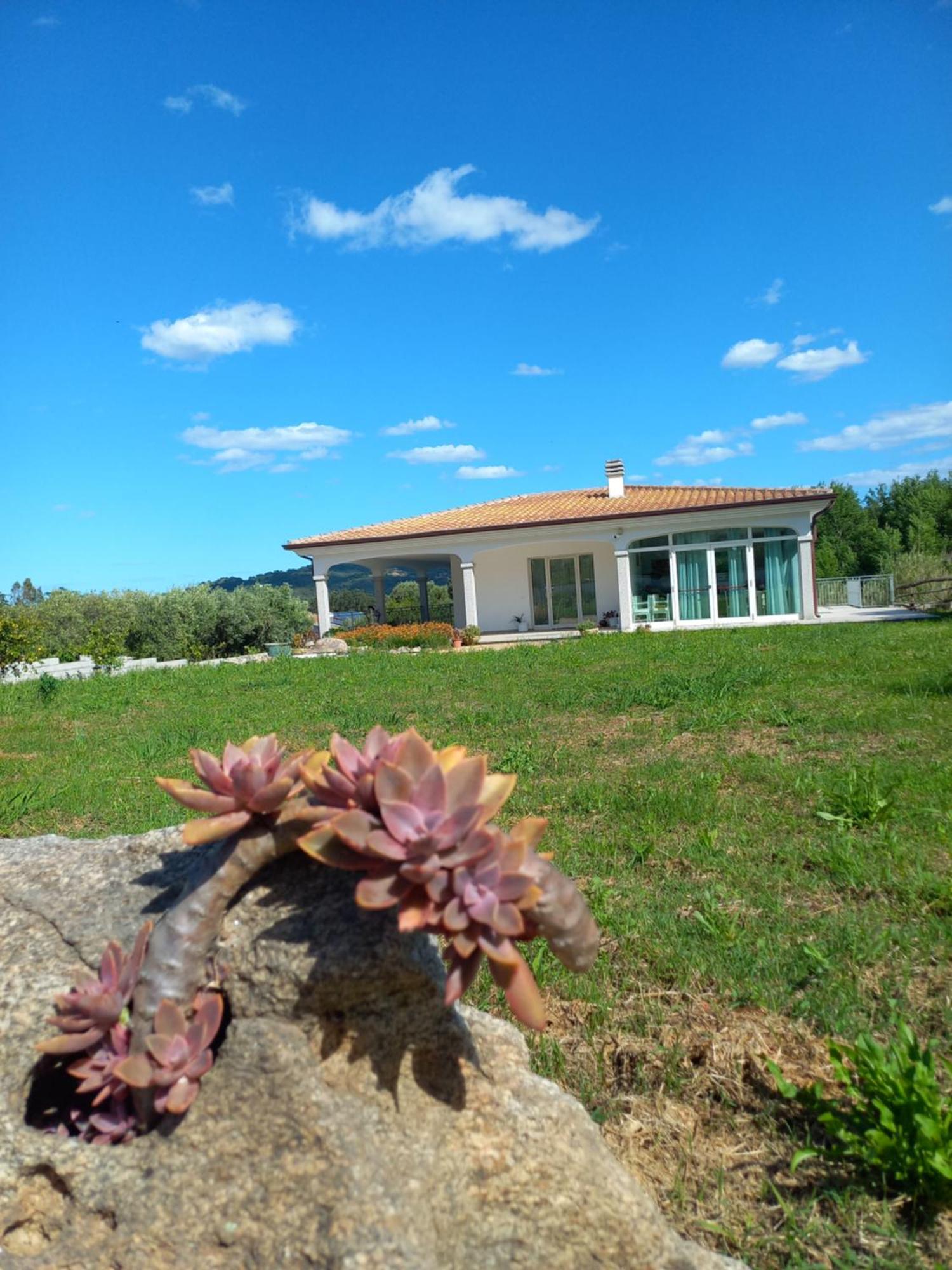 Agriturismo B&B Mares E Montes De Marrante Siniscola Kültér fotó