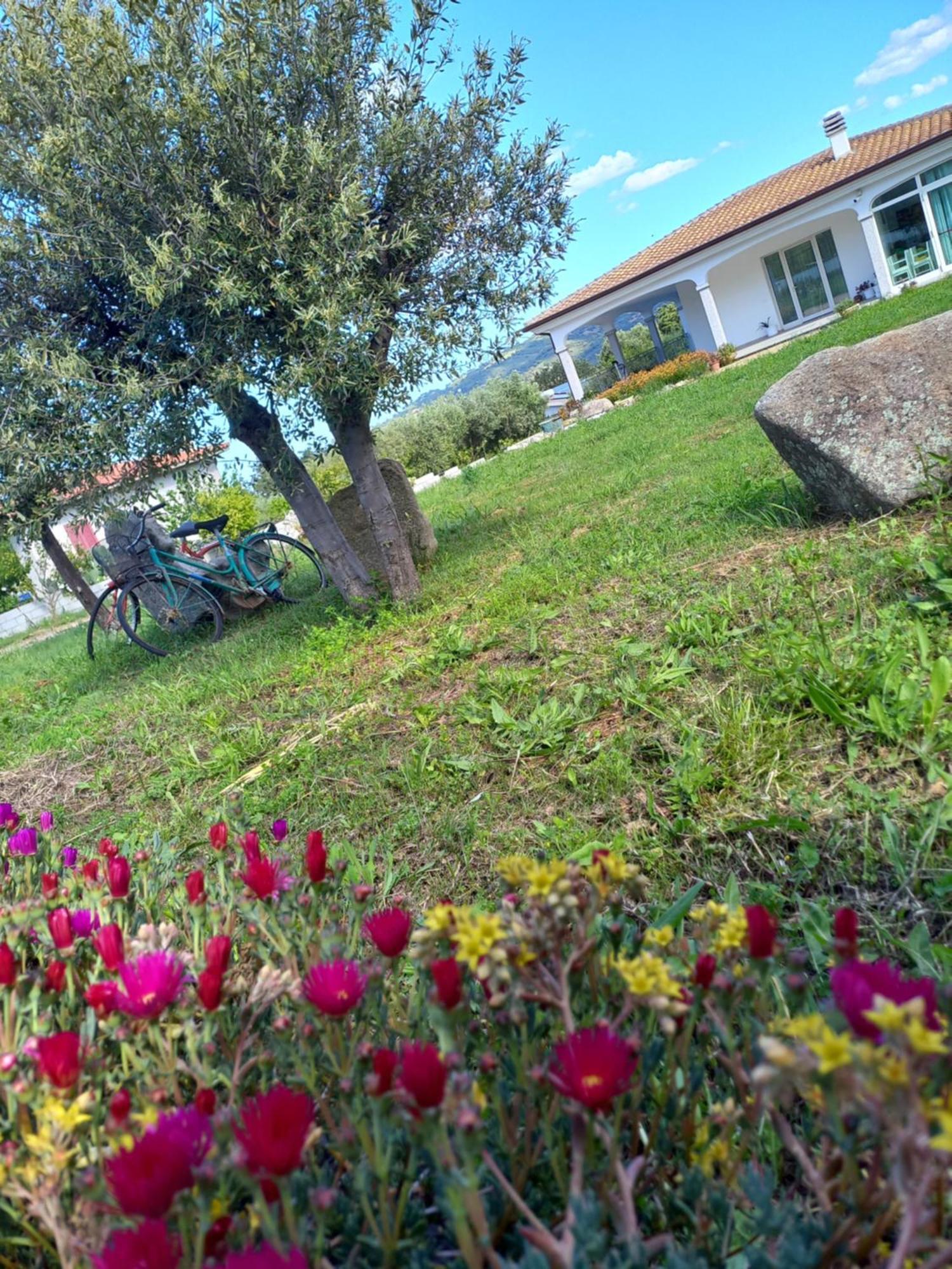 Agriturismo B&B Mares E Montes De Marrante Siniscola Kültér fotó